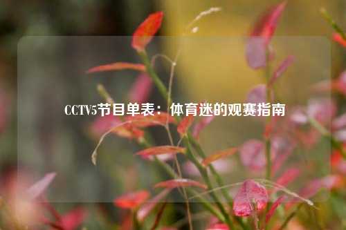 CCTV5节目单表:体育迷的观赛指南