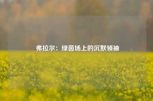  弗拉尔：绿茵场上的沉默领袖