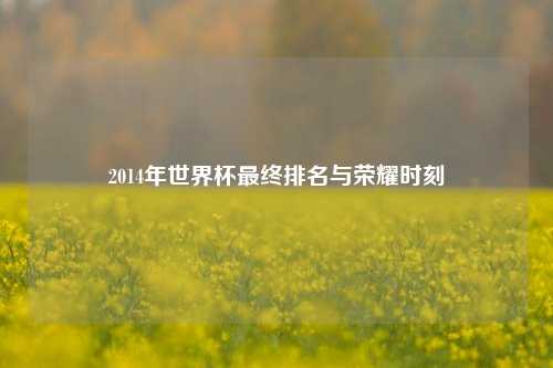 2014年世界杯最终排名与荣耀时刻