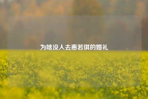 为啥没人去惠若琪的婚礼