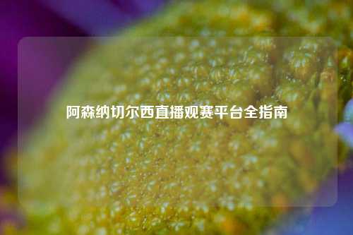 阿森纳切尔西直播观赛平台全指南