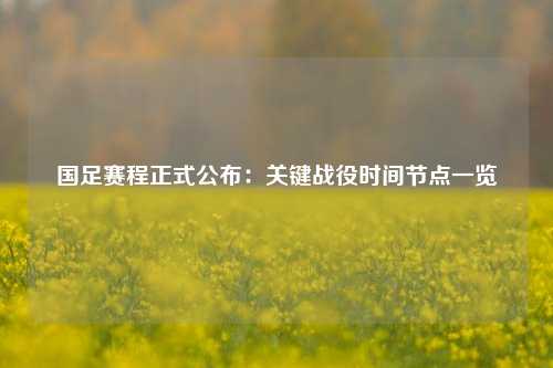 国足赛程正式公布:关键战役时间节点一览