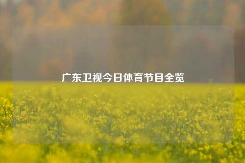 广东卫视今日体育节目全览