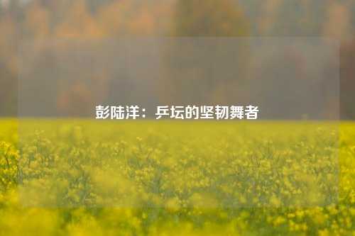 彭陆洋:乒坛的坚韧舞者