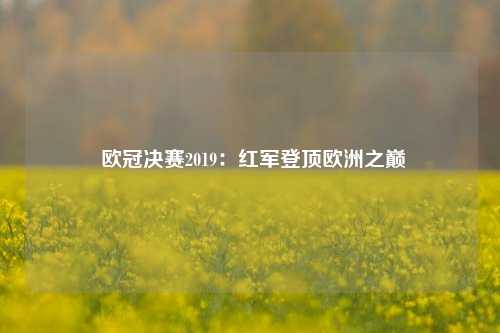  欧冠决赛2019：红军登顶欧洲之巅