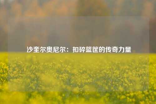  沙奎尔奥尼尔：扣碎篮筐的传奇力量