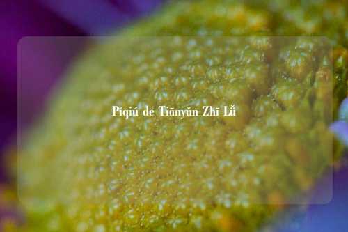 Píqiú de Tiānyǔn Zhī Lǚ