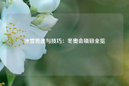 冰雪竞速与技巧：冬奥会项目全览