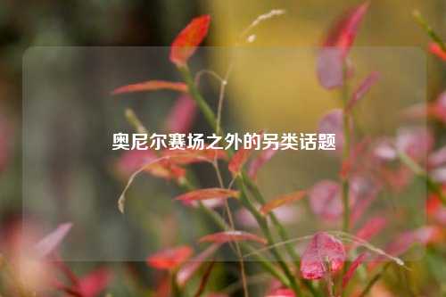 奥尼尔赛场之外的另类话题