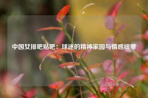中国女排吧贴吧：球迷的精神家园与情感纽带