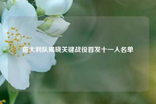 意大利队揭晓关键战役首发十一人名单
