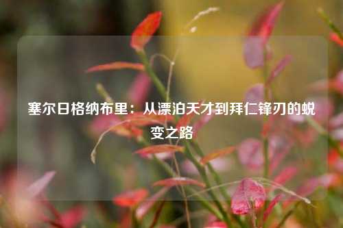 塞尔日格纳布里：从漂泊天才到拜仁锋刃的蜕变之路