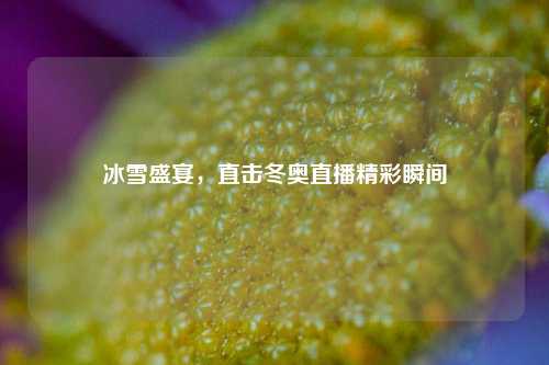 冰雪盛宴，直击冬奥直播精彩瞬间