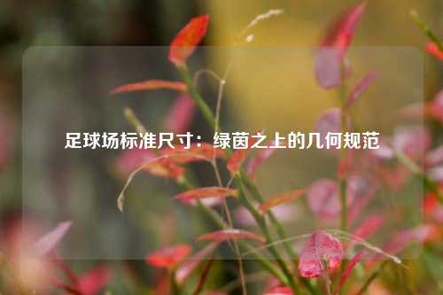 足球场标准尺寸：绿茵之上的几何规范