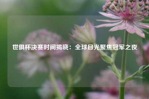 世俱杯决赛时间揭晓：全球目光聚焦冠军之夜
