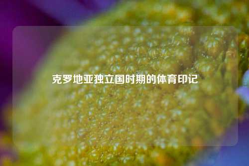克罗地亚独立国时期的体育印记