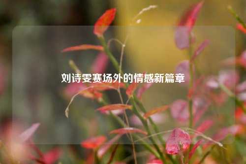 刘诗雯赛场外的情感新篇章